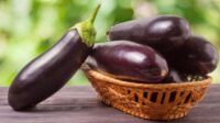 Manfaat Terong Ungu Untuk Kesehatan yang Jarang Diketahui