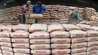 Harga Semen Per Sak Terbaru Untuk Semua Merk