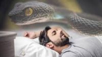 Semalam Mimpi Melihat Ular, Cari Tahu Maknanya Disini