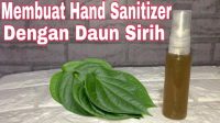 Cara Membuat Hand Sanitizer Sendiri Dari Daun Sirih