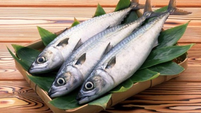 Manfaat Mengkonsumsi Ikan Tongkol Untuk Kesehatan