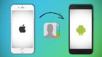 Cara Memindahkan Kontak iPhone ke Android dengan Cloud