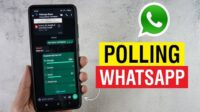 Mudah, Bagini Cara Menggunakan Polling di WA