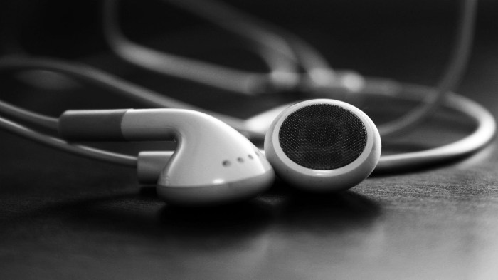 earphone